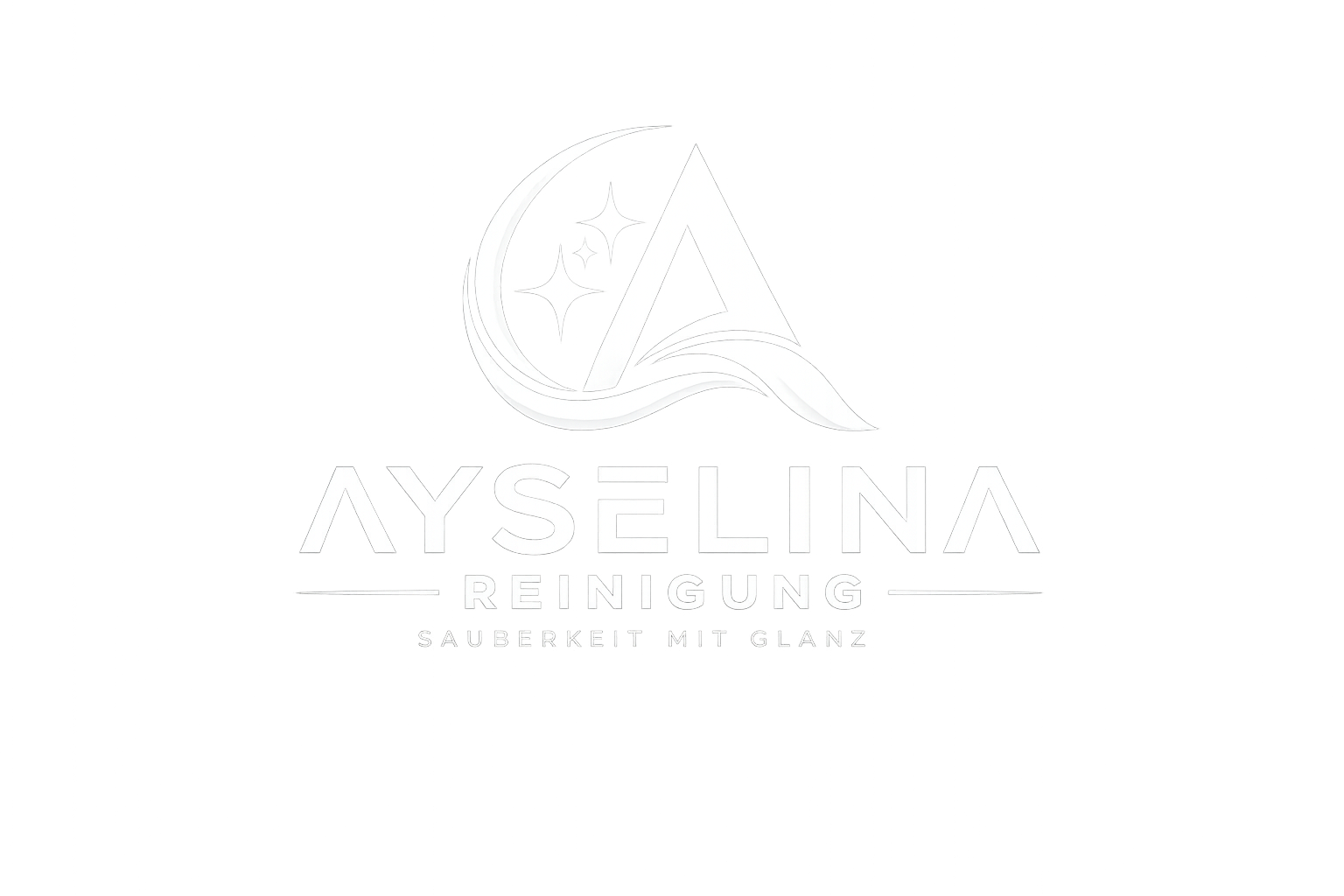 Ayselina Reinigung